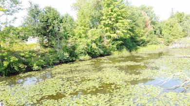 0 Arthur Ct unit 1926536, West Branch Township, MI 48661 - photo 4