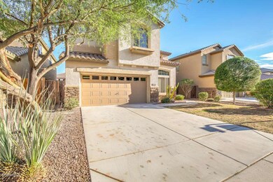 Cottonwood-03
