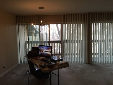 5807 Oakwood Dr unit F, Lisle, IL 60532 - photo 3