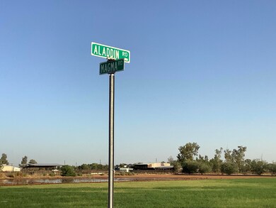 IMG_0040