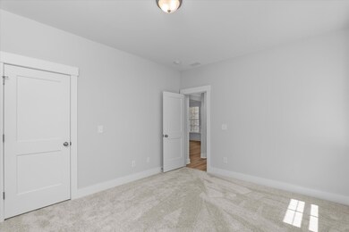 07-P1113786