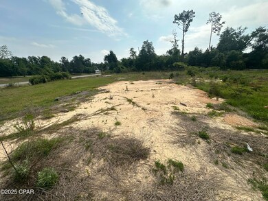 2010 O Hara Ave, Sneads, FL 32460 - photo 5