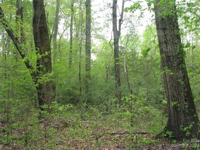 558 Akinbac Rd, Clover, SC 29710 - photo 2