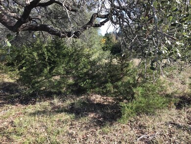 37041 Wood Acre Dr, Whitney, TX 76692 - photo 7