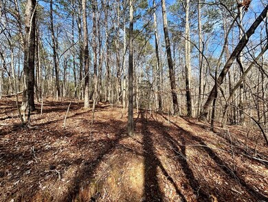 0 Berean Church Rd unit 402415, Ellijay, GA 30540 - photo 5