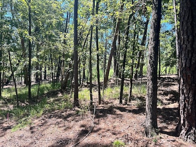 1109 Castle Rd, Grovetown, GA 30813 - photo 2