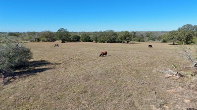 7180 Cr 283, Harwood, TX 78632 - photo 7