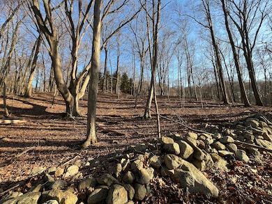 52 Justins Way, Garrison, NY 10524 - photo 4