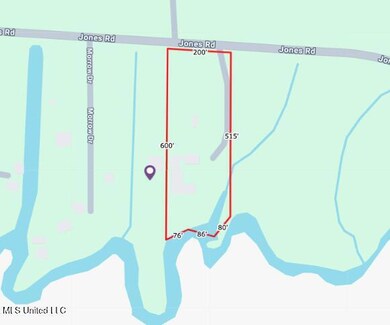 Screen Shot 2025-01-31 at 3.22.54 PM