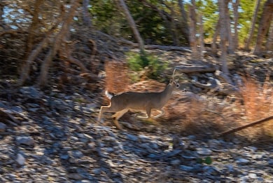 285 Big Buck Cir unit 14, Mountain Home, TX 78058 - photo 2