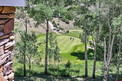 254 Timberline Trail, South Fork, CO 81154 - photo 4