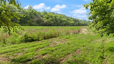 42 E Oneal Rd, Adolphus, KY 42120 - photo 3