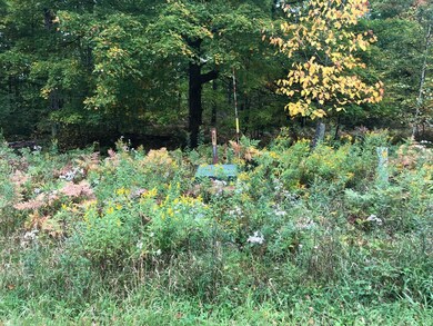 Lots 2/3 Strong Rd, Argonne, WI 54511 - photo 4