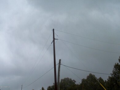 1641 N Eastview, Ash Fork, AZ 86320 - photo 5