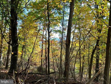 10 Top of the Mountain, Moorefield, WV 26836 - photo 7