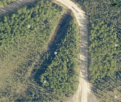 L28 Sipes Dr, Salcha, AK 99714 - photo 3