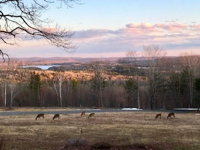 124 Gray Rd, Sangerville, ME 04479 - photo 3