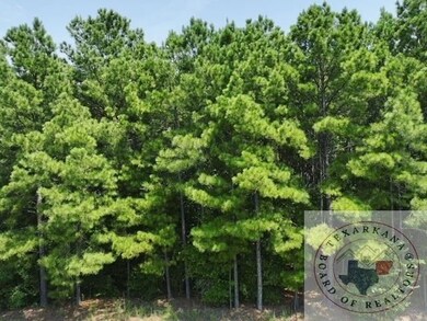 Tbd Fm 2149, Maud, TX 75567 - photo 5