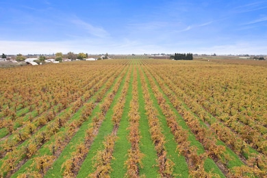 14235 N Vintage Rd, Lodi, CA 95240 - photo 5