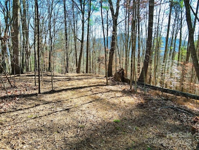 TBD Rockinghorse Trail unit Tract 3, Burnsville, NC 28714 - photo 3