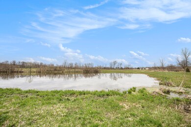 41177 38th Ave, Paw Paw, MI 49079 - photo 3
