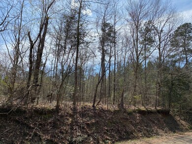 N/A D P Guy Rd, Ruth, MS 39662 - photo 4