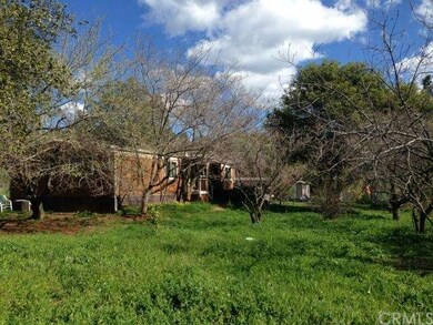 Numerous fruit trees in fenced area-protected from