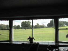 View From Family Room