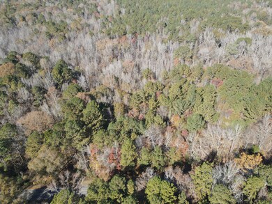 1597 Oconee Rd, Buckhead, GA 30625 - photo 2