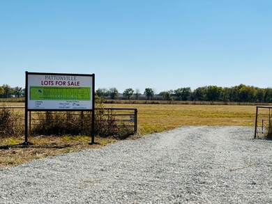 Tbd Tract 10 4675 Cr 15200, Pattonville, TX 75468 - photo 4