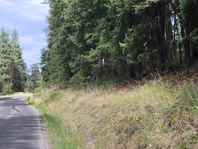 Whalebone Dr runs through property