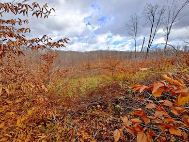 0 Mancelona Rd unit 25571179, Mancelona, MI 49659 - photo 2