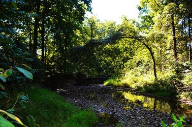 Creek