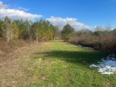 00 Lagrange Rd, Leighton, AL 35646 - photo 7