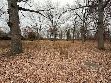 3073 W Dayton St, Flint, MI 48504 - photo 3