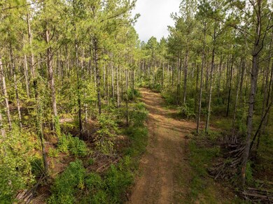 0 Pisgah Rd unit 1, Brandon, MS 39047 - photo 4