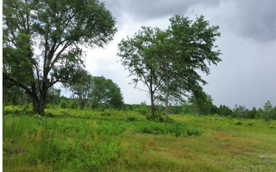 0 Cr-25a unit 103314, Lake City, FL 32055 - photo 2