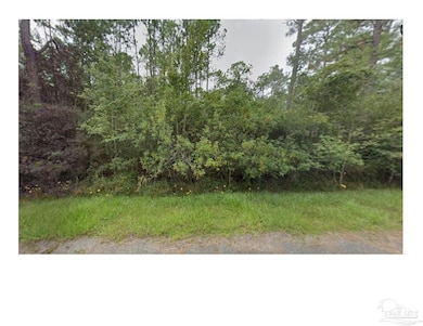 0000 Couey Rd, Milton, FL 32583 - photo 3