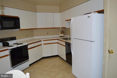 Towers Condominiums unit 202B, Baltimore, MD 21209 - photo 3