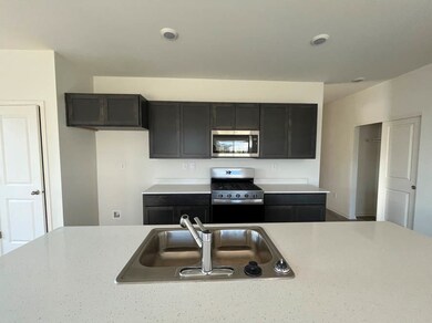 1124 Williamsburg St, Pingree Grove, IL 60140 - photo 6