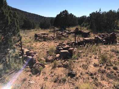 313d SW Deputy Shortline, Ash Fork, AZ 86320 - photo 6