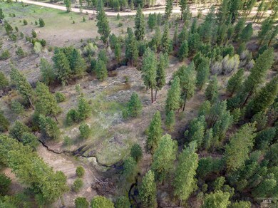 Lot 10 Star Creek Ct, Placerville, ID 83631 - photo 6