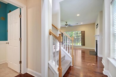 CREM_324 Cypress Walk_010