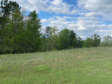 4 Crest Line Dr, Upatoi, GA 31829 - photo 5