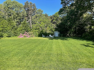 Spacious Yard