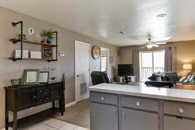 Kitchen / Dining / Living