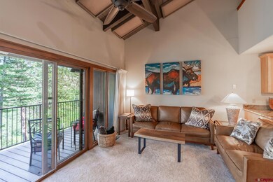 961 N Tamarron Dr unit 615, Durango, CO 81301 - photo 6