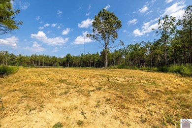 000 State Route 1433 unit Lookout Tower Ro, Salem, KY 42078 - photo 4