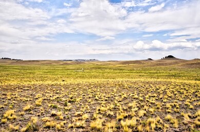 0 Lenape Trail unit S1035343, Hartsel, CO 80449 - photo 6
