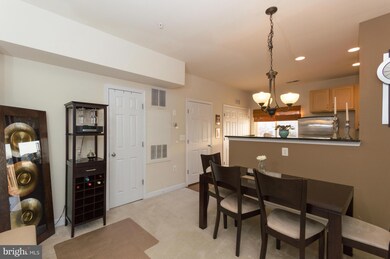 22577 Blue Elder Terrace, Ashburn, VA 20148 - photo 5